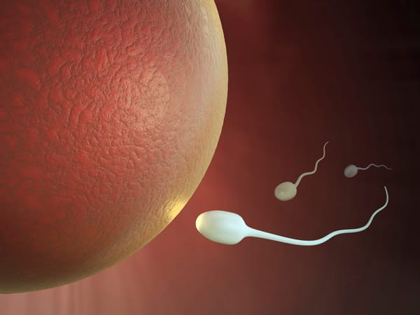 The Importance of Procreation